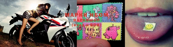таблы Бородино