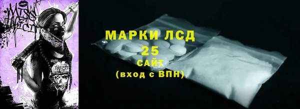 таблы Бородино