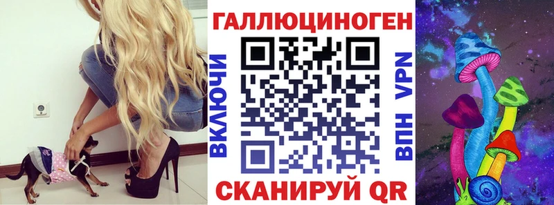 гидра как войти  Жердевка  Псилоцибиновые грибы Cubensis  цены  